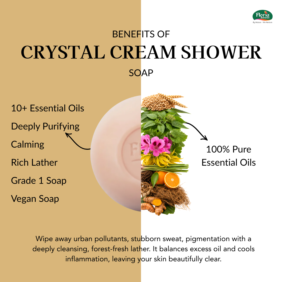 Crystal Cream Shower soap benefits infographic from Floria Naturals