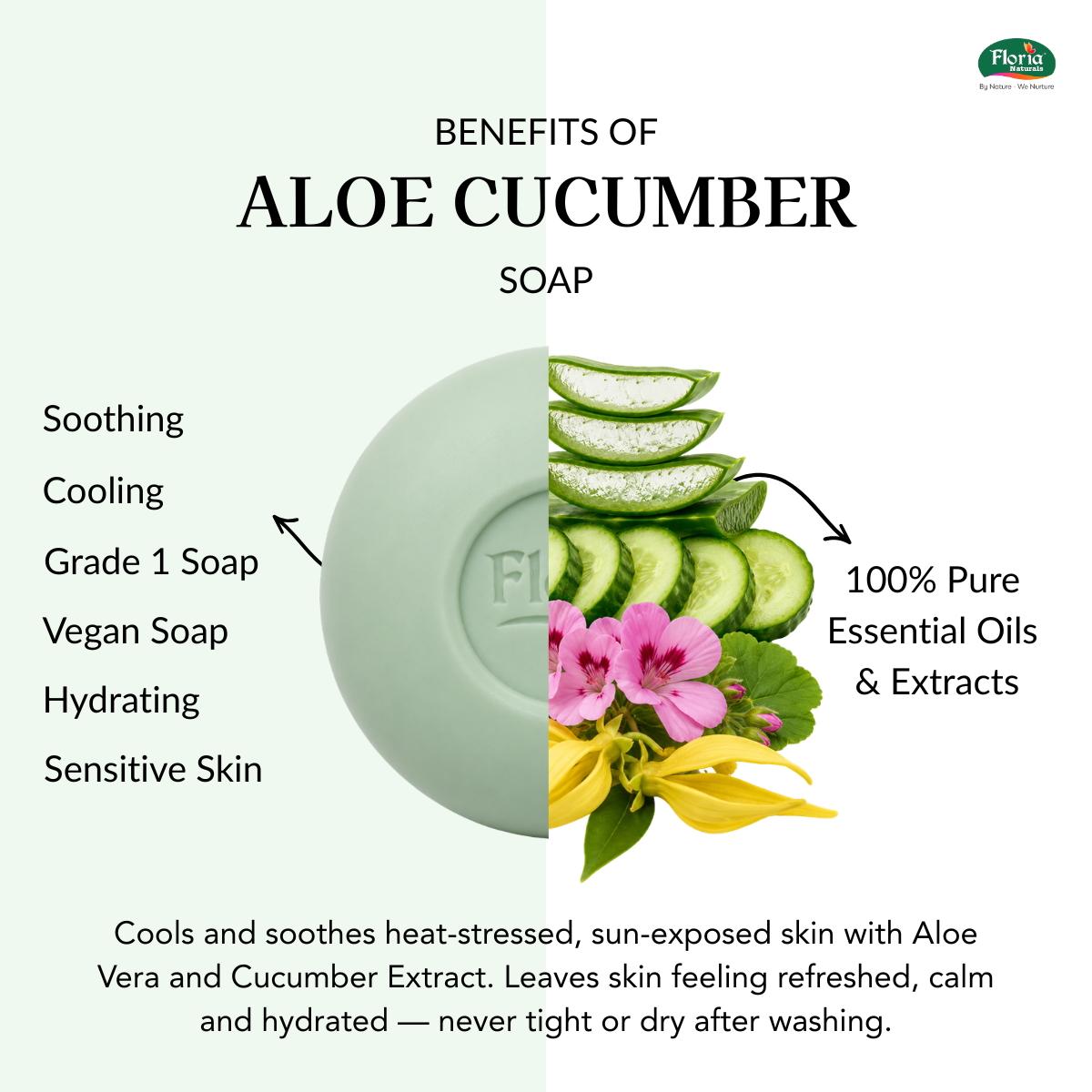 Aloe Cucumber soap benefits infographic from Floria Naturals