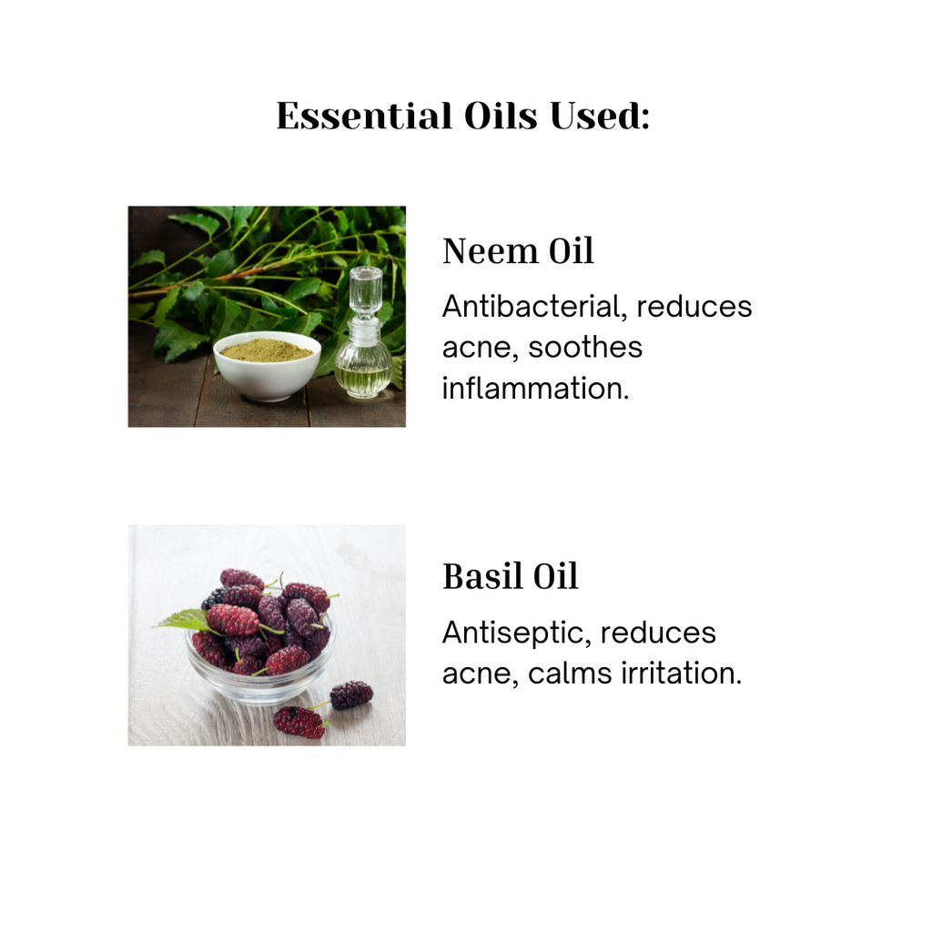 Key oils in Neem Basil soap, infographic from Floria Naturals